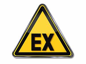 Ex Zones
